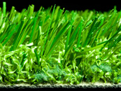 Green Easy